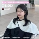 대전 헤어컨설팅 내돈내산 그리오다 시스루뱅 허쉬펌 땅콩형 둥근얼굴 머리