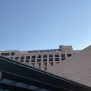 정원여중 정류장 | 서울 호캉스 : 스위스그랜드호텔 (디럭스트윈룸,카페)