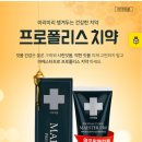 프로덴탈 이미지