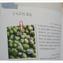 자연담은도시락 - 종로구 | 자연담은도시락
