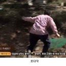 가을속의 별들