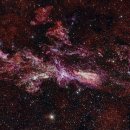 CW-1976-01 이미지