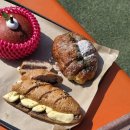 새순펜션 | 단양] 단양 패러글라이딩 패러이야기 + 카페산 후기｜3월 날씨, 주차, 예약, 가격, 즐기기 꿀팁 총정리...