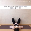 스트레칭303 이미지