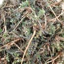 다래농원 이미지