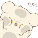 어나더오더 이미지