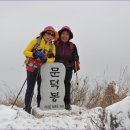 용화축산 이미지