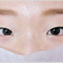 바이블리아이래쉬