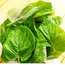 다래농원 이미지