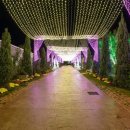 가든이다 이미지