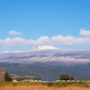 올레캠프본점알파캠프 이미지