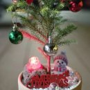 12/2 크리스마스 테라리움 이미지