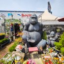 고릴라 뷔페 이미지