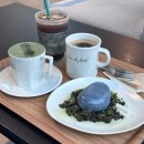 힐링포레 | [경남/양산카페] 건축 우수상 숲속 힐링카페 &#34;아미드포레&#34; 후기/ 내돈내산, 추천메뉴, 주차, 운영시간