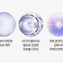 퍼플화장품