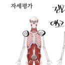 고필라테스