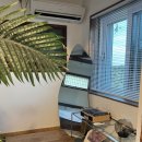 제주독채펜션돌담감성숙소밭담점 | 제주 구좌 하도리 숙소, 독채펜션 돌담감성숙소 밭담점 내돈내산