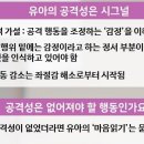 (2회) ＜걸핏하면 치고받는 영유아의 공격성 (5세~7세 유아편)＞ 발달로 알아보는 영유아의 문제행동 이해하기 이미지