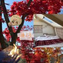 김천열쇠 | 25.11.08 ~10 김천 &#39;은하수관광농원&#39; 🍁🍂가을 캠핑🍀 모든 사이트 특징 소개🏕️쿠디13.6⛺️