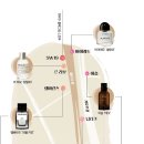향수1번가 이미지