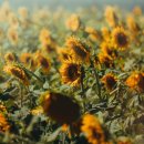 래미안축복공인중개사사무소 이미지