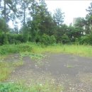 색달동-13 이미지