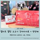기호성좋은사료 관절건강에 도움주는 엘릿 유기농 소고기사료