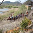 DMZ, 평화의 편지 이미지