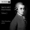Piano Sonata No. 10 in C Major, K. 330: I. Allegro moderato 이미지