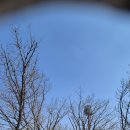 우면산3-21 이미지