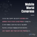 세기국제여행사