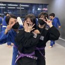 청춘 유도&주짓수 이미지