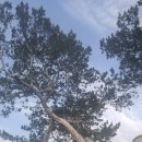 백송당구장 이미지