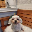 오구오구살롱 이미지