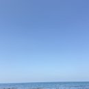 제주 올레길 13코스 | 제주올레길 15-B코스 후기 애월항 애월카페거리 걷기 소요시간 난이도