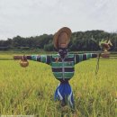 환벽당길 이미지