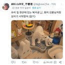 김풍을 "음탕한 바다코끼리 남자"라고 말한 사람 근황 이미지