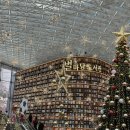 코엑스 별마당 도서관 후기 (트리/팝마트/쉐이크쉑)