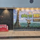 아이와 함께 보기 좋은 가족뮤지컬 목 짧은 기린 지피