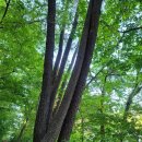 신기4길 이미지