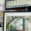 화수약국 이미지