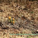 향기나는 세탁나라 이미지