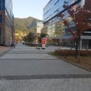 연세봄스킨 이미지