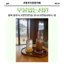 충주 지현동 카페 :: 우물있는정원 예쁜 정원 카페 방문 후기✨️