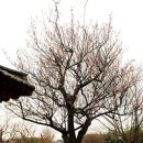 허난설헌생가터 이미지