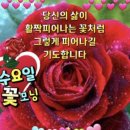 수요일 - 종로구 인사동길 36 | 수요일