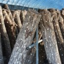 행복한마실농장 이미지