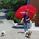 태원 유람선선착장 입구 이미지