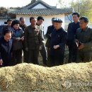 최영림농장 이미지