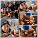 너무 밀려서 어디서부터 써야 할지.. 모르는 일상